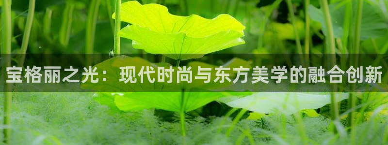 众腾娱乐总代理