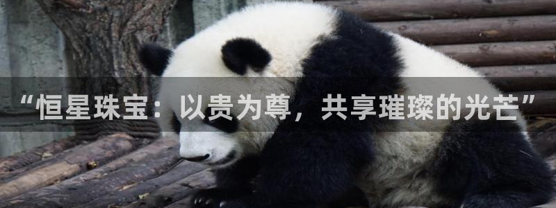 腾耀娱乐众推55312