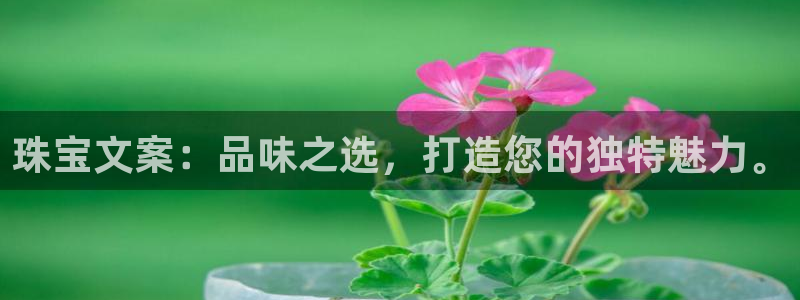 腾众娱乐是什么