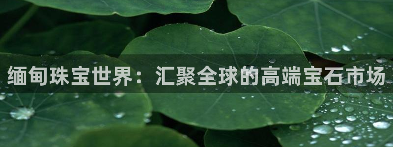 腾耀娱乐众推46996