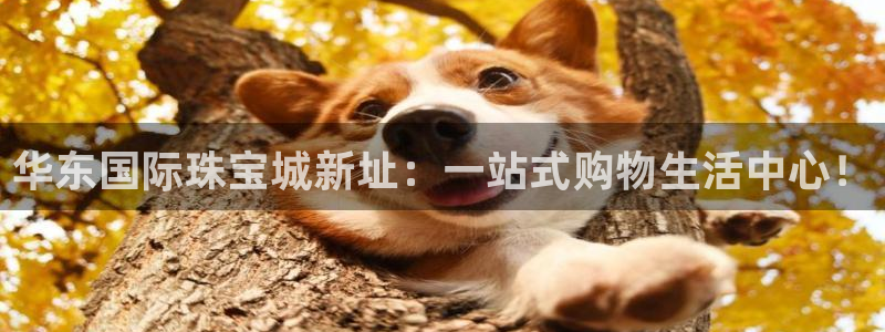众腾娱乐得7O777