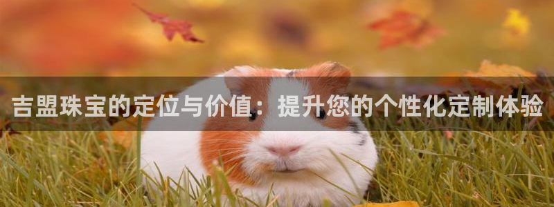 众腾娱乐平台官网入口