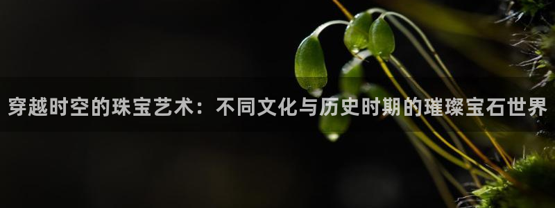 众腾娱乐客服