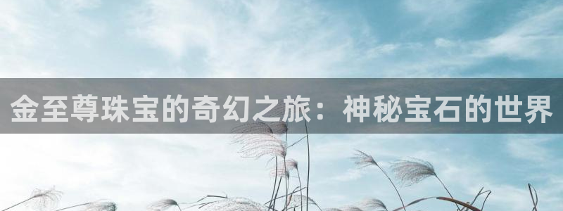 众腾娱乐梦幻演艺店