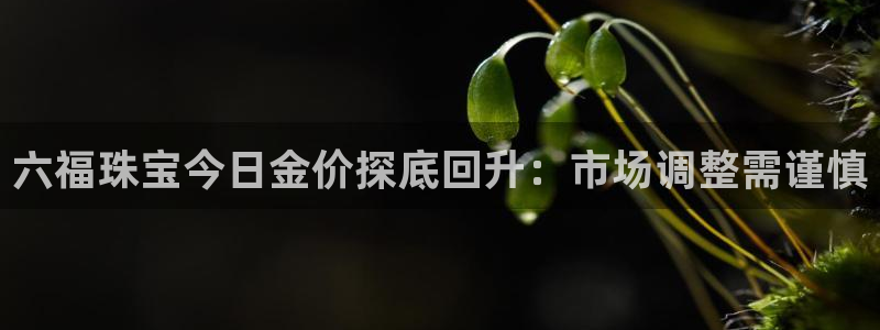 腾众娱乐彩票：六福珠宝今日金价探底回升：市场调整需谨慎