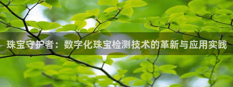 腾耀娱乐29999出众：珠宝守护者：数字化珠宝检测技术的革新