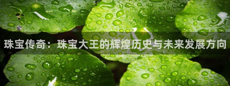 包头众腾娱乐：珠宝传奇：珠宝大王的辉煌历史与未来发展方向