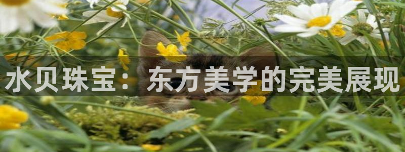 腾众娱乐是个啥：水贝珠宝：东方美学的完美展现