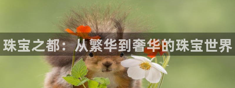 众腾娱乐客服：珠宝之都：从繁华到奢华的珠宝世界