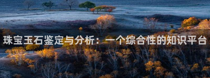 腾耀娱乐29999出众：珠宝玉石鉴定与分析：一个综合性的知识