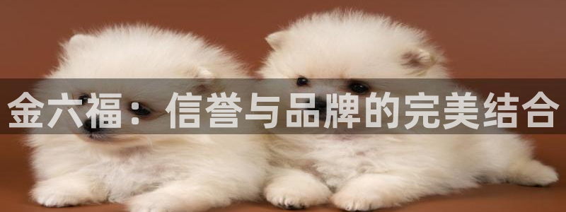 众腾娱乐平台官网入口