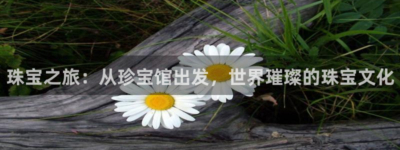 腾众娱乐是个啥