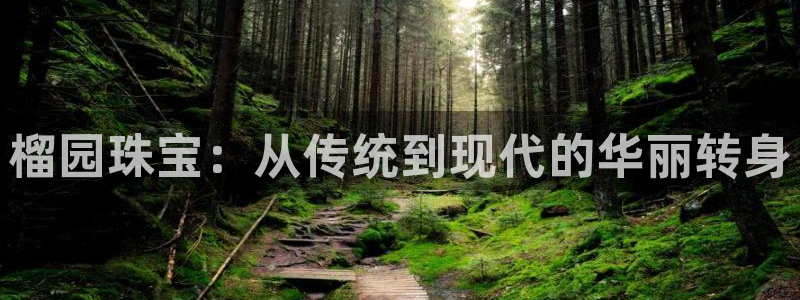 众腾娱乐APP下载