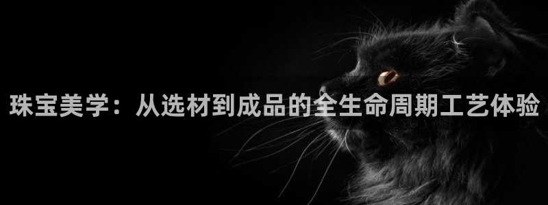 众腾娱乐毕 7O935