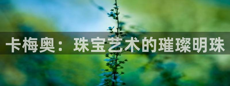 众腾娱乐官方客服电话