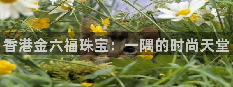 众腾娱乐集团有限公司