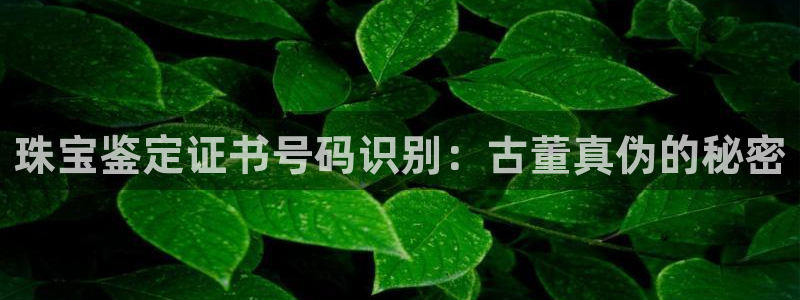 众腾娱乐平台群7O777