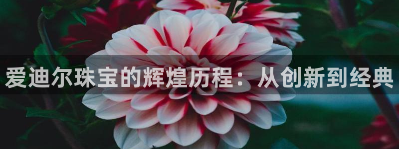 众东腾娱乐客服