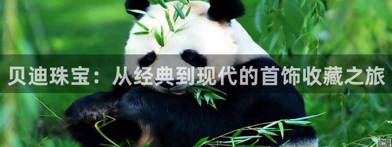 包头众腾娱乐密室逃脱：贝迪珠宝：从经典到现代的首饰收藏之旅