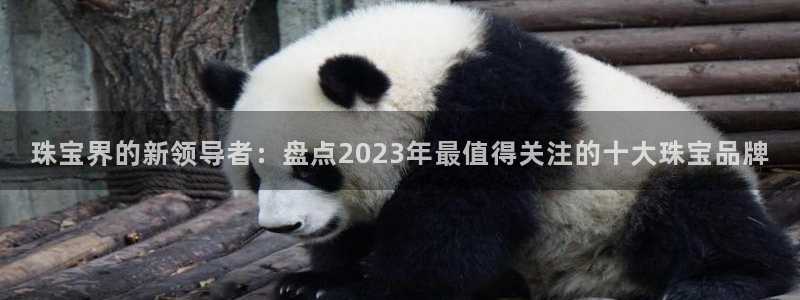 云南众腾娱乐：珠宝界的新领导者：盘点2023年最值得关注的十