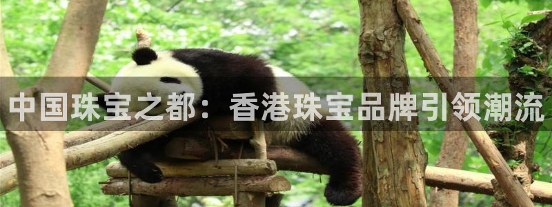 众腾娱乐梦幻演艺店：中国珠宝之都：香港珠宝品牌引领潮流