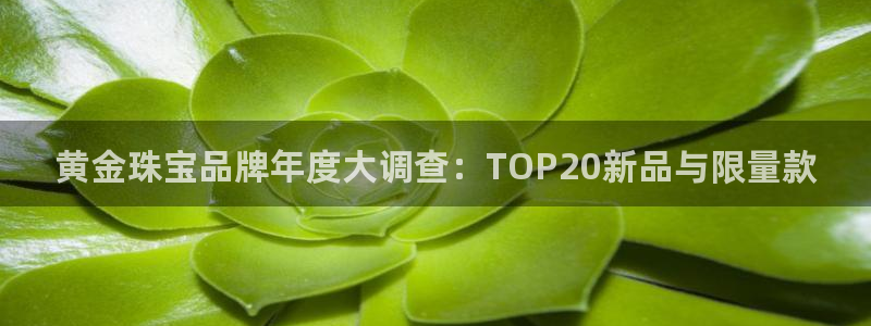 众腾娱乐注册：黄金珠宝品牌年度大调查：TOP20新品与限量款