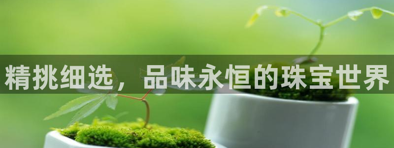 众腾娱乐官方客服电话：精挑细选，品味永恒的珠宝世界